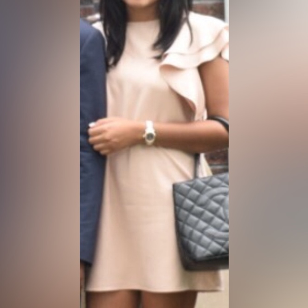 Zara Ruffle Sleeve Dress